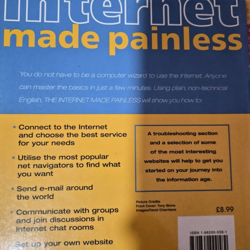 The Internet Made Painless book used, English