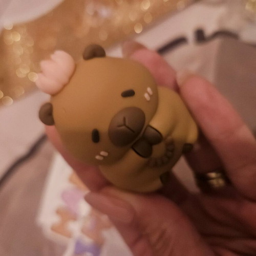 Capybara birthday set like new, 5 pieces for 7 years old