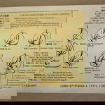  Ikebana Card Book