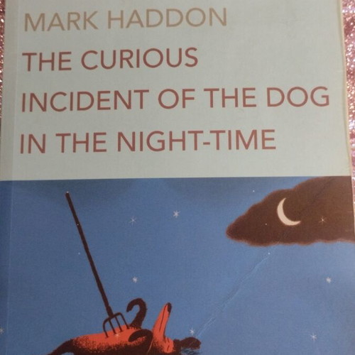 The Curious Incident of the Dog in the Night-Time book like new, English