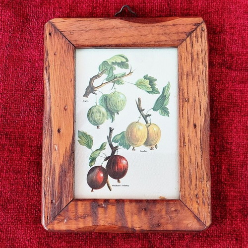 Wooden framed mini prints collection of 3, like new
