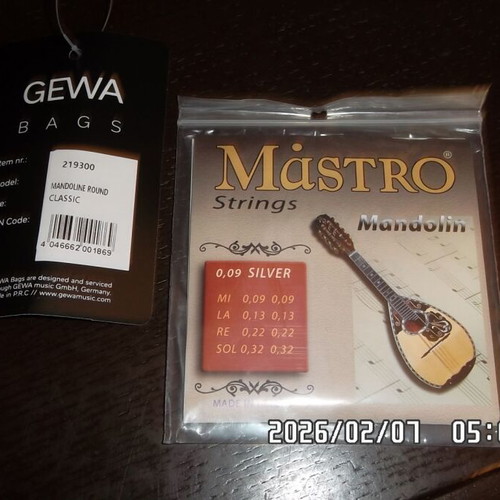 Italian Mandolin used with waterproof case and pickup