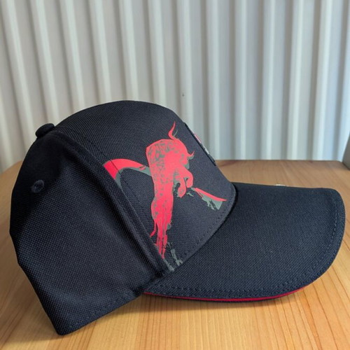 Red Bull Racing Puma F1 cap new, dark blue and black