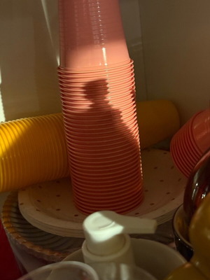 Plastic cups and plates for party new