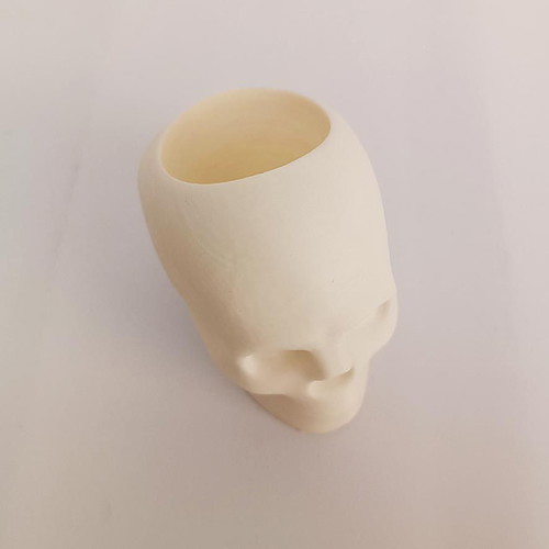 Skull pencil holder 3D printed new