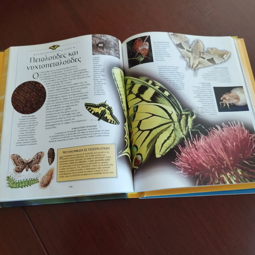 Zootiko Vasilio I, Family and Friends, I Proti Mou Egkyklopaideia children's books