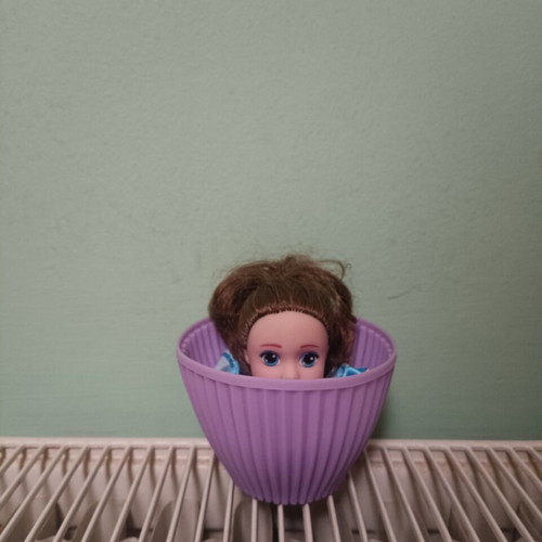 Cupcake doll like new