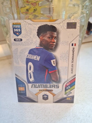Aurelien Tchouameni Numbers Panini 2026 card