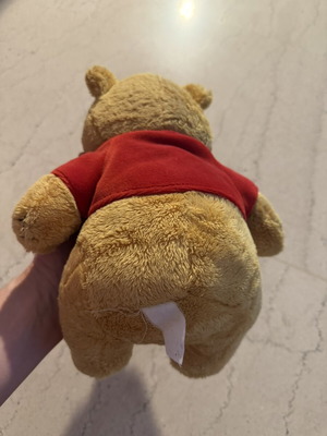 Winnie the Pooh plush toy