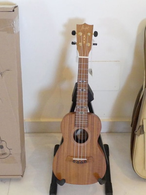 Flight DUC440 Acacia γιουκαλίλι Concert
