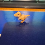Kinder egg toy new