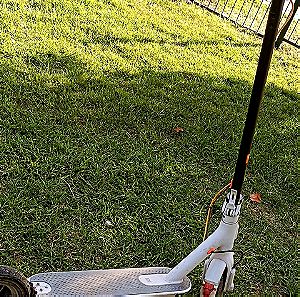Scooter pro 4