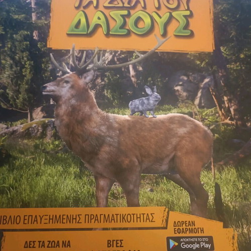 The Animals of the Forest new children's book