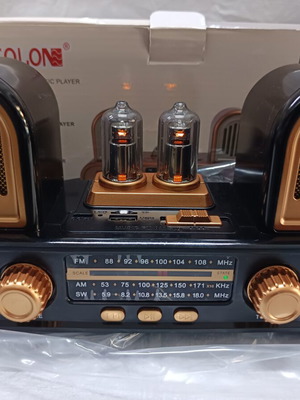 COLON RX998 USB rechargeable radio