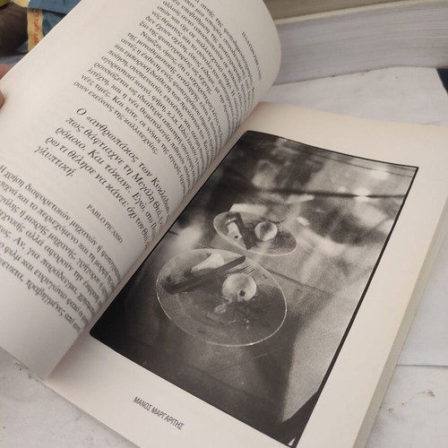 Monologos gia tin Fotografia like new, Platon Rivellis