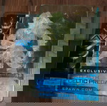  Stealth Celtic Predator McFarlane toys exclusive
