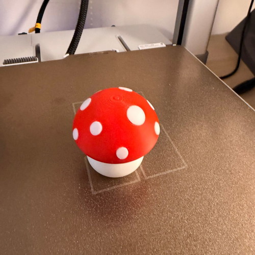 Mushroom Clicker made to order, 3D printed stress relief toy