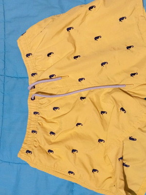 swimwear men