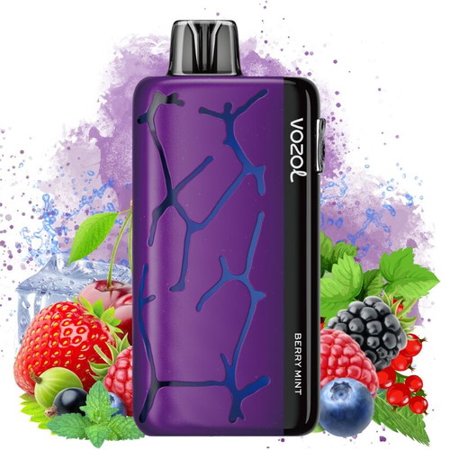vozol e cigarette Vozol Disposable Vape 10.000 Puffs %5 Nicotine – Cigars To Go & Cigars  Lounge