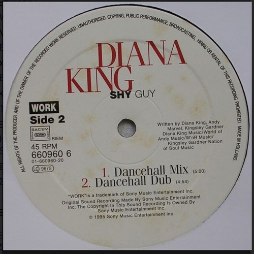 Diana King Shy Guy vinyl like new