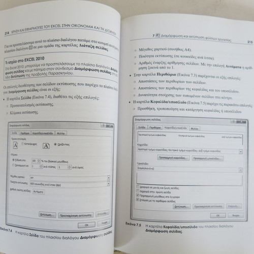 Book Use and Applications of Excel in Economy and Management like new