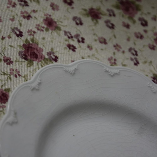 Ironstone China ReGo sol 391413 j&G MEAKIN England plates used