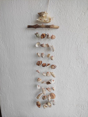 Dreamcatcher made of shells new