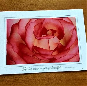 American Beauty Rose Greetings Card. Κάρτα για ευχές τριαντάφυλλο. 2007 Original Photo Art Card