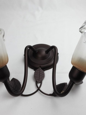 Wall light fixture two-light new