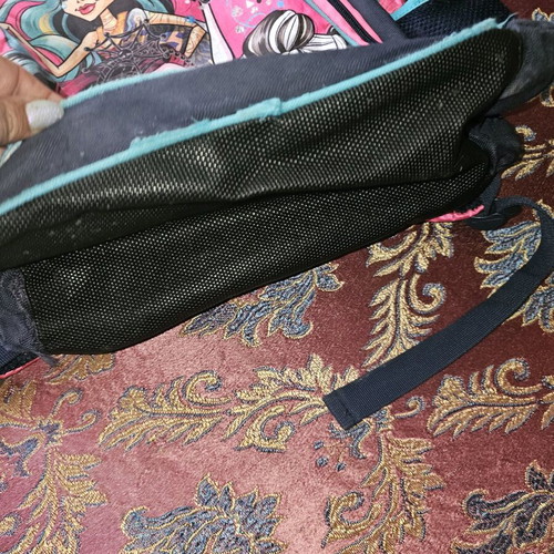 Monster High school backpack used with multiple compartments for primary school