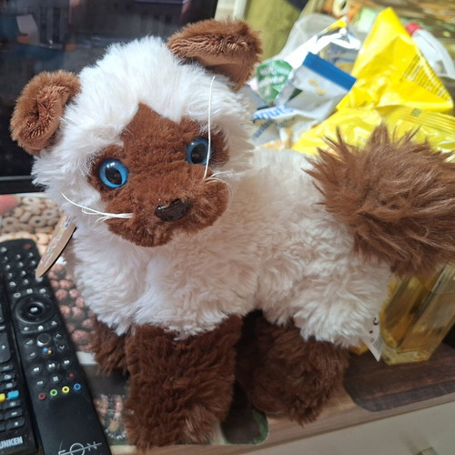 Large Siamese Plush Toy New