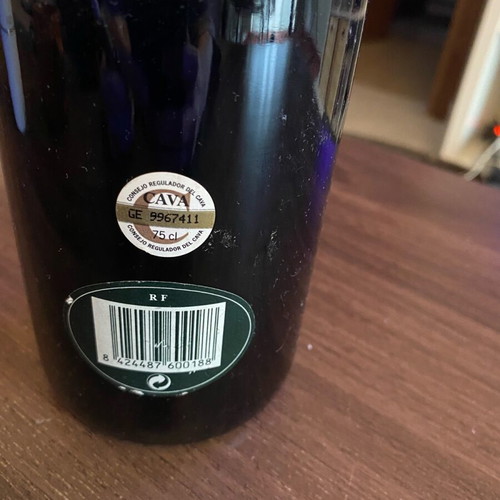 Juve y Camps Brut Nature Cava 1999 vintage, new