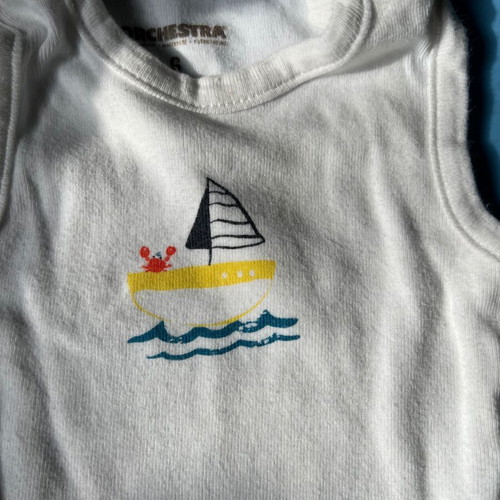 Baby bodysuits used, pack for 6-month-old boy