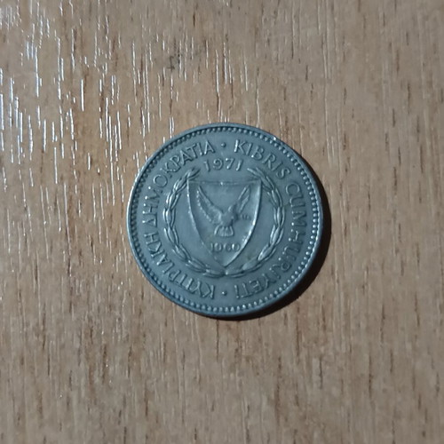 50 Mils collectible coin Cyprus 1971 grape cluster