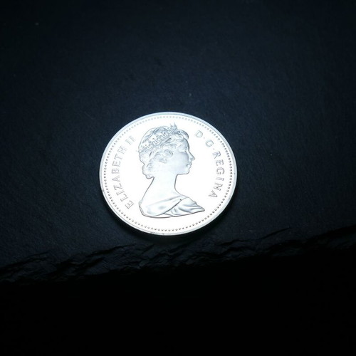 Silver coin Canada 1982 with case