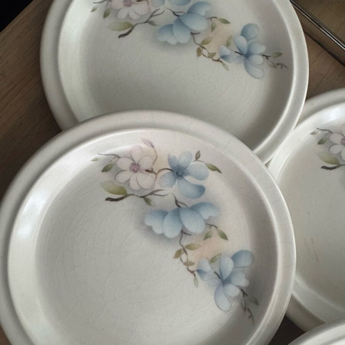 Vintage pasta plates with beautiful design like new