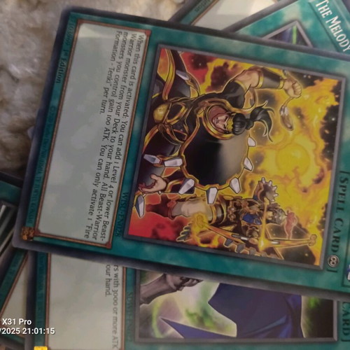 yu gi oh deck tier Yugioh OCG Brotherhood of the Fire Fist Deck Playmat (plus card) main image 1