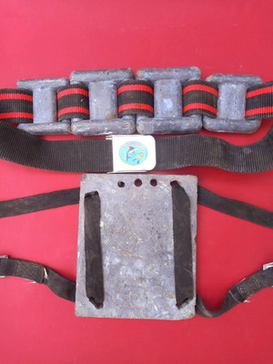 Diving weights used, 6-roll waist belt, 4-roll plate