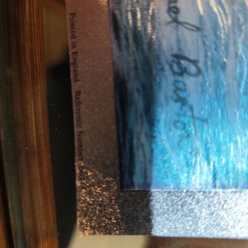 Photo on cardboard for frame like new, printed without creases