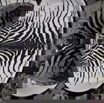  Roberto Cavalli συλλεκτικά