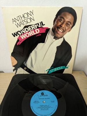 Anthony Watson Wonderful World 12" single vinyl used, R&B Soul