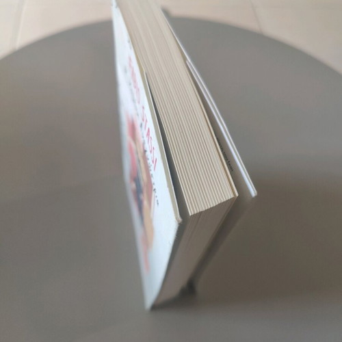 The Lost Reader Fabio Stassi like new