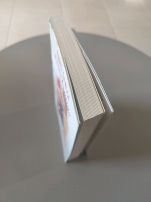 The Lost Reader Fabio Stassi like new