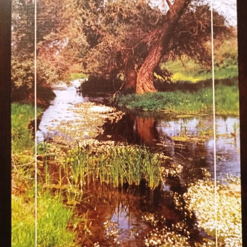 Collectible postcard Rodopi region new, spring at Filiouri river
