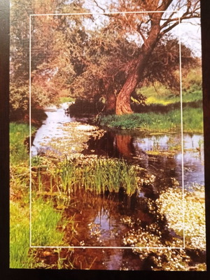 Collectible postcard Rodopi region new, spring at Filiouri river