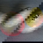  ΚΕΡΑΜΙΚΑ ΦΡΟΥΤΑ (ΜΗΛΟ ΚΑΙ ΑΧΛΑΔΙ)