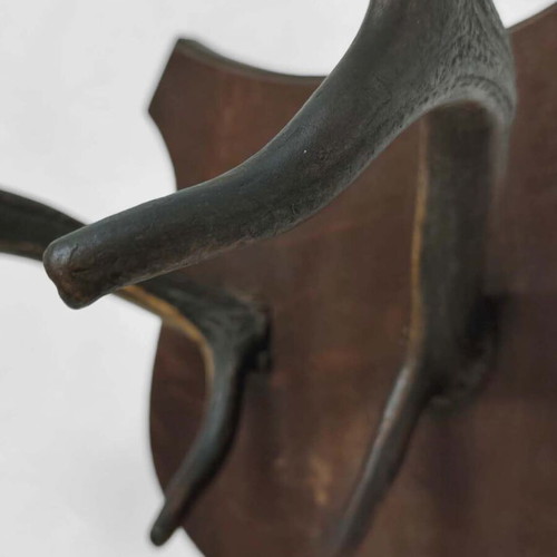 Vintage Deer Antlers Wall Mount on Wooden Base like new, 41 cm