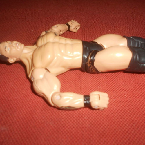 WWE Wrestling Randy Orton Action Figure 2003 used