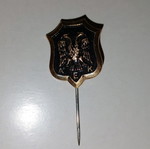 AEK pin new