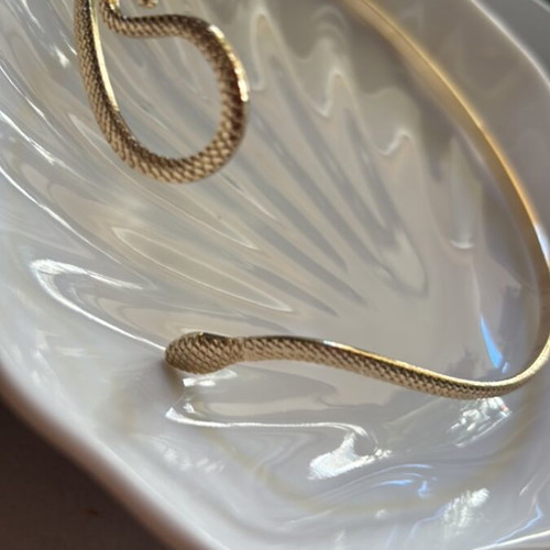 Necklace in snake shape new
